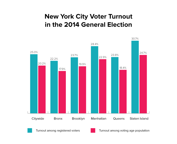 New York City Voter Turnout in the 2014 General Election